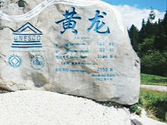-黄龙山原始森林景区