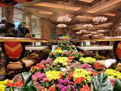 -拉斯维加斯永利酒店