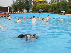 -欢乐水魔方水世界