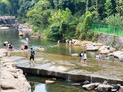 -北仑森林植物园