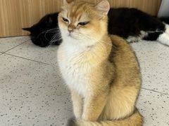 -凡老头米线砂锅(古荡新村西粮站)