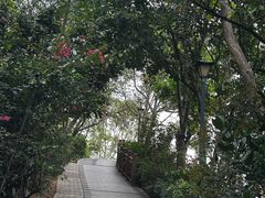 -小南山公园