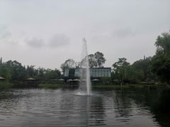 -成飞公园