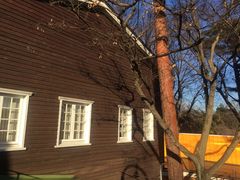 -三鹰之森吉卜力美术馆