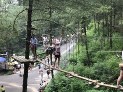 -梦幻奥陶纪景区