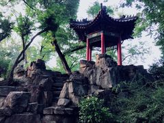 -莲湖公园