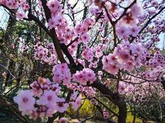 -南通博物苑-崇川人民公园