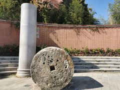 -洛龙公园