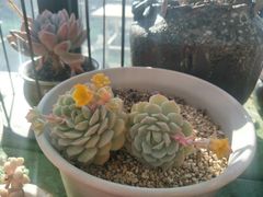 -北马山庄植趣咖啡