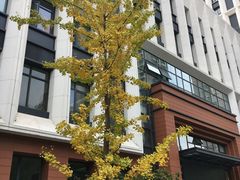 -星巴克(上海交通大学店)
