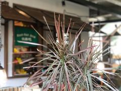 -几荷·恰似故人来(秀水广场店)