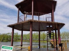 -白渔泡湿地公园