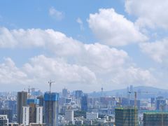 -板樟山森林公园