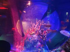 -沈阳海洋探索中心