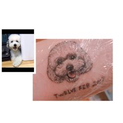 点击看大图 -雲艺刺青·洗纹身