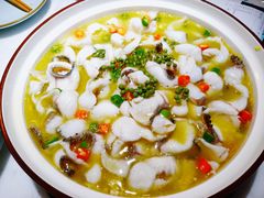 -青花椒花椒鱼(合生汇店)