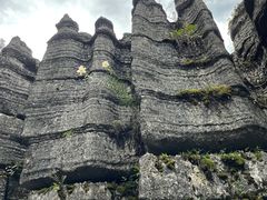 -梭布垭石林景区