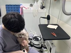 -达爱动物医院·犬猫分区·CT·复杂眼科(远洋山水分院)