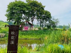 -长田漾湿地公园