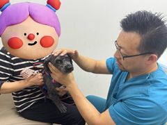 -美联众合动物医院·24h转诊中心