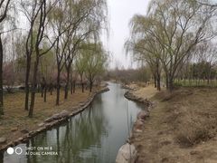 -郑州中国绿化博览园