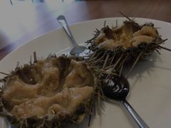 -海胆小馆(东北水饺·春柳店)