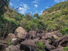 -广州白江湖森林公园