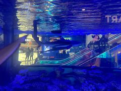 -凯德广场(学府店)