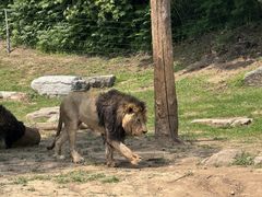 -北京野生动物园