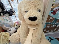 -汪说·狗咖·拼豆·宠物周边DIY(旺城大厦店)