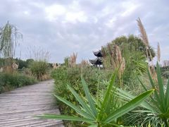 -眉山湿地公园(东坡区)