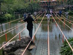 -呀诺达热带雨林