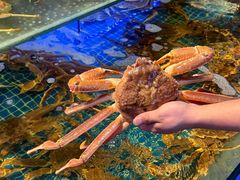 -驻海渔市(置信店)