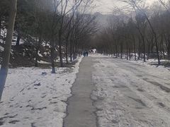 -西安祥峪森林公园