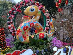 -越秀西湖花市(广州城市广场花卉店)