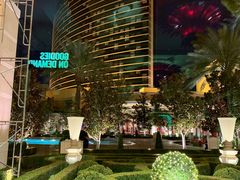 -拉斯维加斯永利酒店