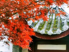 -乌山风景区