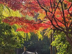 -长广溪湿地公园