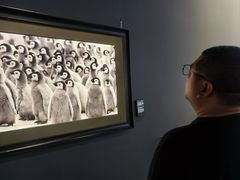 -罗红摄影艺术馆