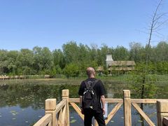 -溱湖国家湿地公园