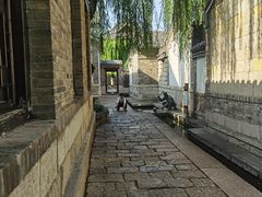 -百花洲