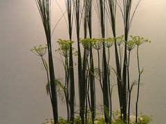 -FEI FEI FLOWER鲜花店·气球派对·宝宝宴布置(虹口德必运动Loft店)
