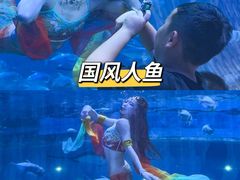 -华夏文旅海洋公园