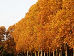 -河南省黄河迎宾馆