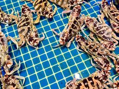 -三亚火车头万人海鲜广场