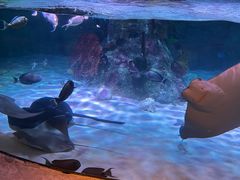 -沈阳海洋探索中心