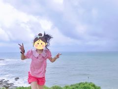 -广东惠东海龟国家级自然保护区