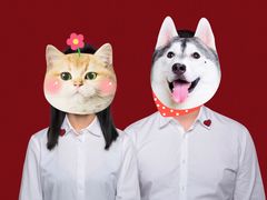 -真我樣照相馆·身份证·证件照·外拍(环球港店)