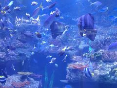 -海合安青岛极地海洋公园