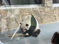 -无锡动物园·太湖欢乐园
